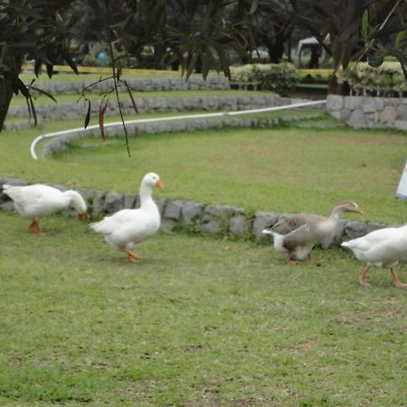 San Borja, Bello Apartamento Daire Lima Dış mekan fotoğraf