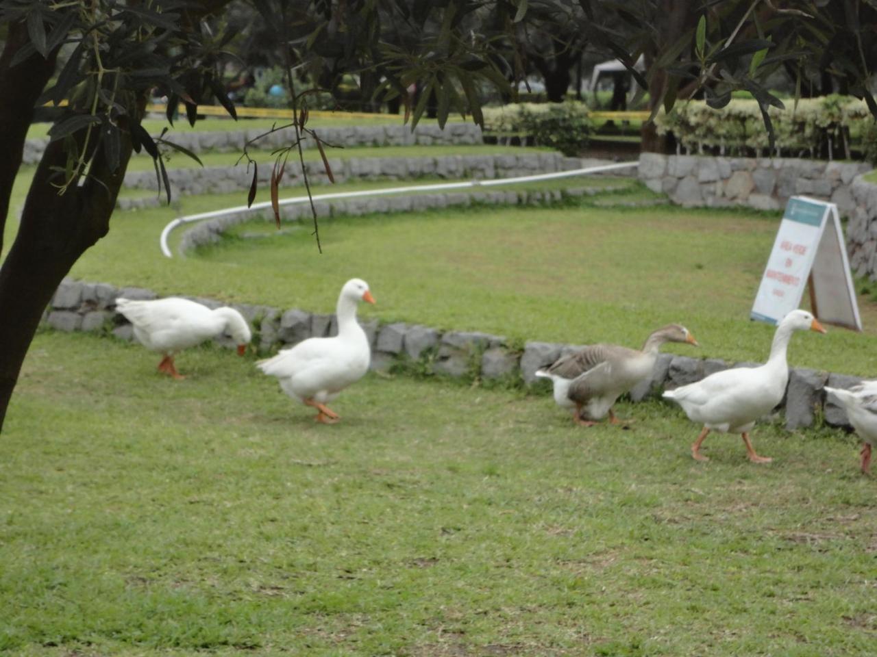 San Borja, Bello Apartamento Lima Dış mekan fotoğraf